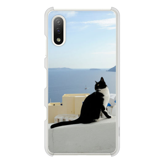 Xperia Ace II SO-41B docomo 高画質仕上げ 背面印刷 ハードケース 【VA805 ネコと地中海】