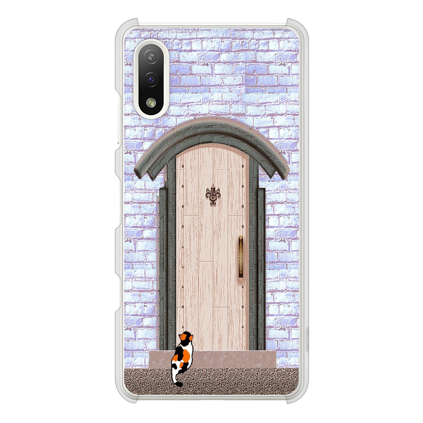 Xperia Ace II SO-41B docomo 高画質仕上げ 背面印刷 ハードケース 猫とドア