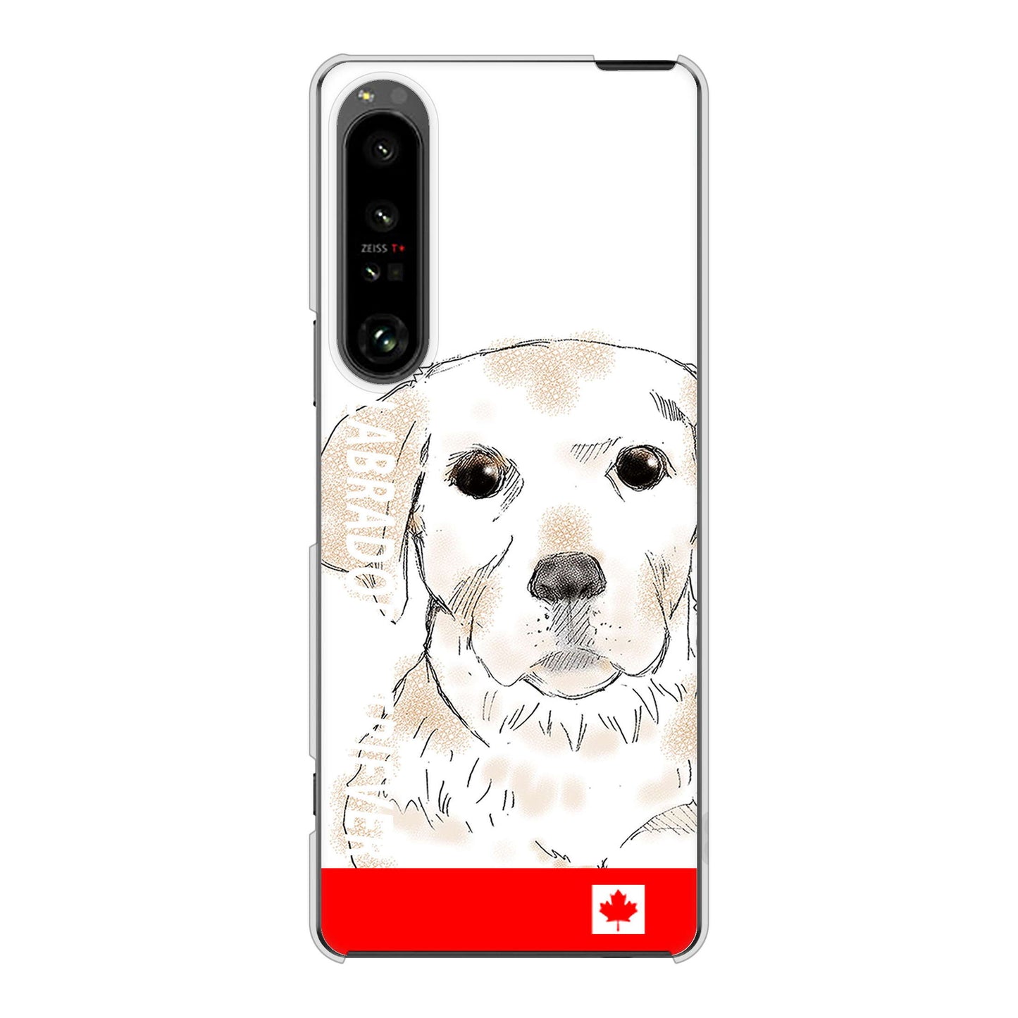 Xperia 1 V SO-51D docomo 高画質仕上げ 背面印刷 ハードケースラブラドールレトリバー