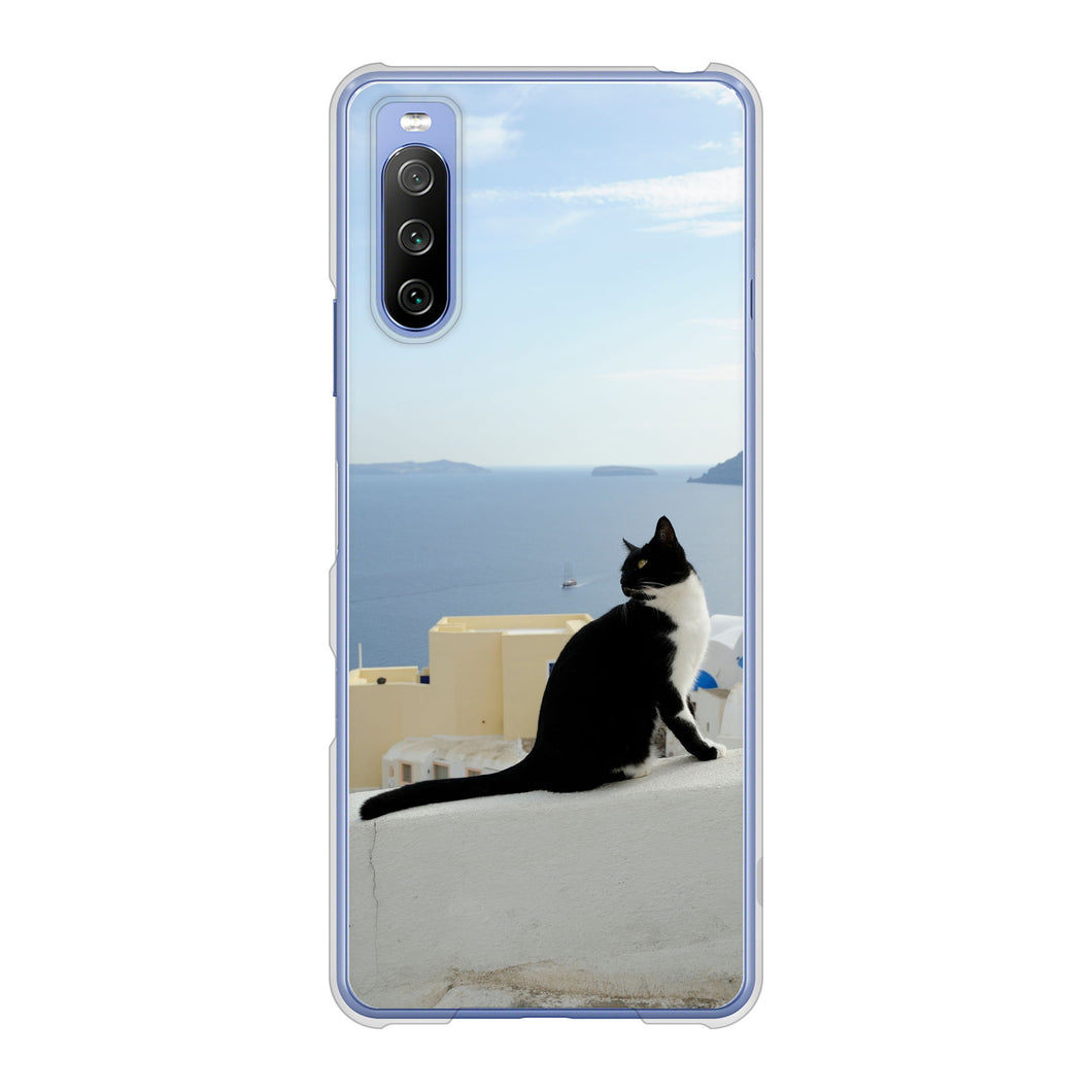 Xperia 10 III SO-52B docomo 高画質仕上げ 背面印刷 ハードケース 【VA805 ネコと地中海】