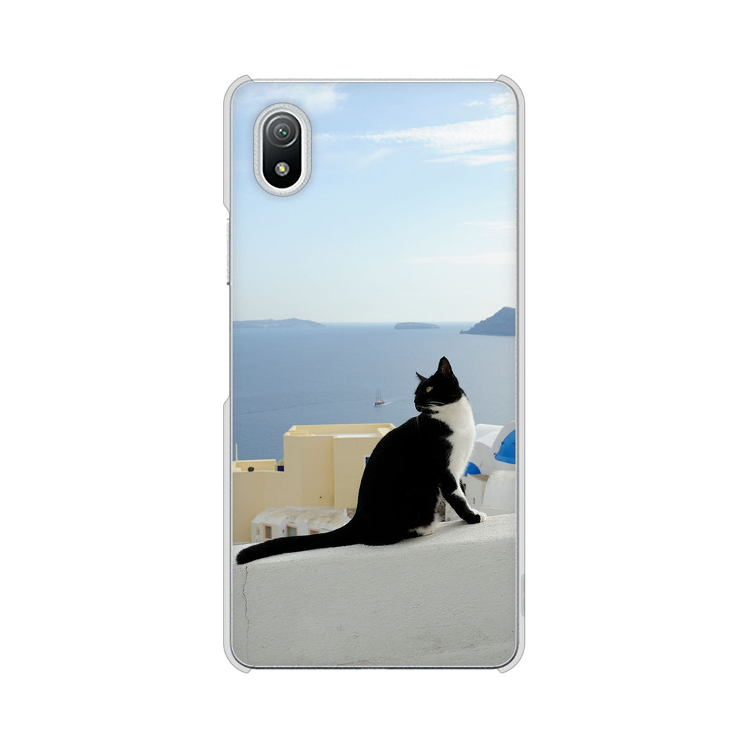 Xperia Ace III SO-53C docomo 高画質仕上げ 背面印刷 ハードケース 【VA805 ネコと地中海】