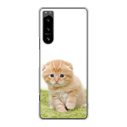 Xperia 5 IV SO-54C docomo 高画質仕上げ 背面印刷 ハードケース 【VA802 ネコこっそり】