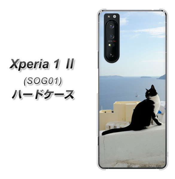 au エクスペリア1 II SOG01 高画質仕上げ 背面印刷 ハードケース【VA805 ネコと地中海】