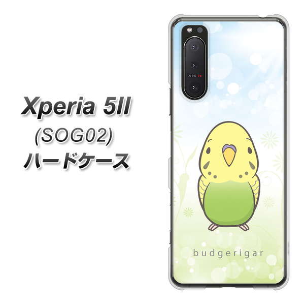 au エクスペリア5II SOG02 高画質仕上げ 背面印刷 ハードケース【SC838 セキセイインコ グリーン】