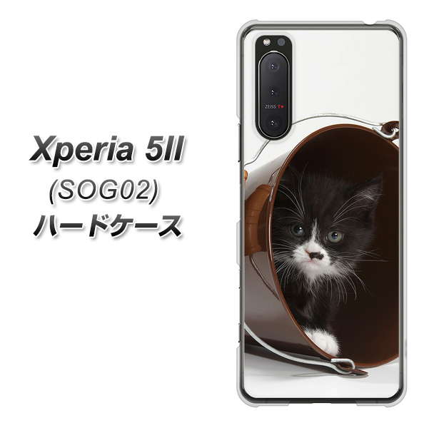 au エクスペリア5II SOG02 高画質仕上げ 背面印刷 ハードケース【VA800 ネコとバケツ】