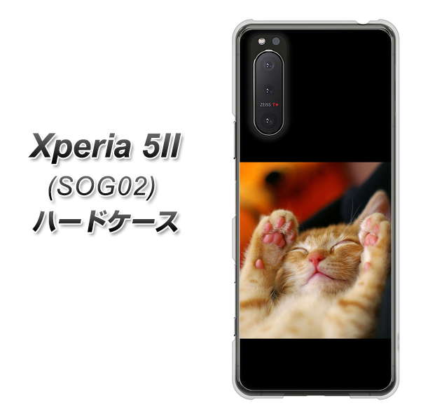au エクスペリア5II SOG02 高画質仕上げ 背面印刷 ハードケース【VA804 爆睡するネコ】