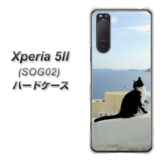 au エクスペリア5II SOG02 高画質仕上げ 背面印刷 ハードケース【VA805 ネコと地中海】