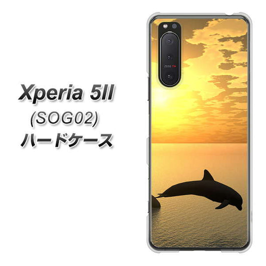 au エクスペリア5II SOG02 高画質仕上げ 背面印刷 ハードケース【VA845 夕暮れのドルフィン】