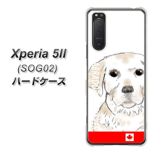 au エクスペリア5II SOG02 高画質仕上げ 背面印刷 ハードケース【YD821 ラブラドールレトリバー02】