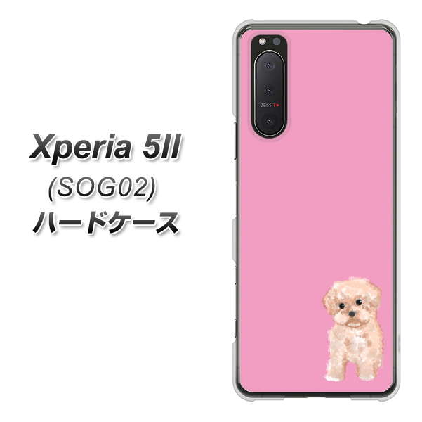 au エクスペリア5II SOG02 高画質仕上げ 背面印刷 ハードケース【YJ061 トイプードルアプリコット(ピンク)】