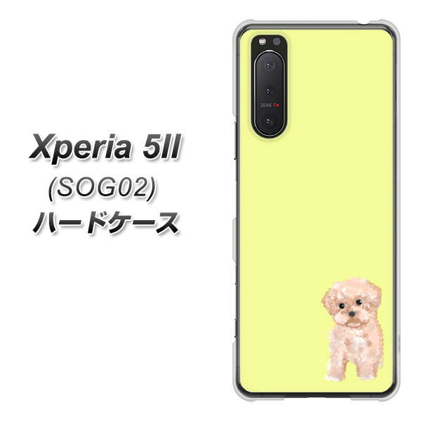 au エクスペリア5II SOG02 高画質仕上げ 背面印刷 ハードケース【YJ064 トイプードルアプリコット(イエロー)】
