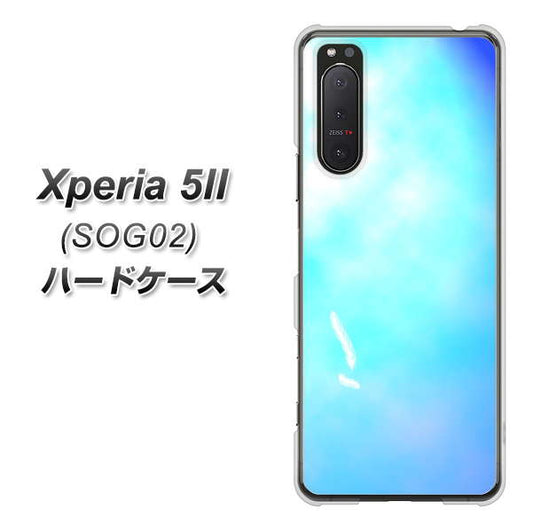 Xperia 5 II SOG02 au YJ291 デザイン 光 ハードケース 背面印刷