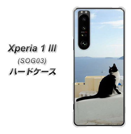 au エクスペリア1 III SOG03 高画質仕上げ 背面印刷 ハードケース【VA805 ネコと地中海】