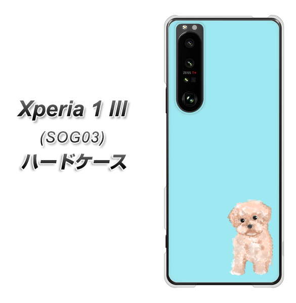 au エクスペリア1 III SOG03 高画質仕上げ 背面印刷 ハードケース【YJ062 トイプードルアプリコット(ブルー)】