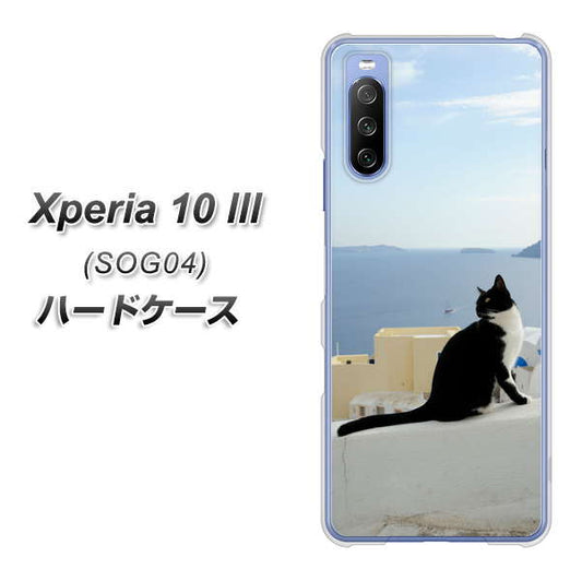 au エクスペリア10 III SOG04 高画質仕上げ 背面印刷 ハードケース【VA805 ネコと地中海】