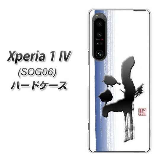 Xperia 1 IV SOG06 au 高画質仕上げ 背面印刷 ハードケース【OE829 斗】