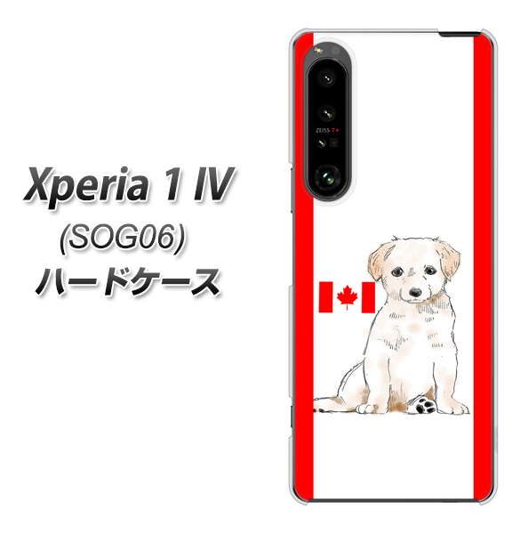 Xperia 1 IV SOG06 au 高画質仕上げ 背面印刷 ハードケース【YD824 ラブラドールレトリバー05】