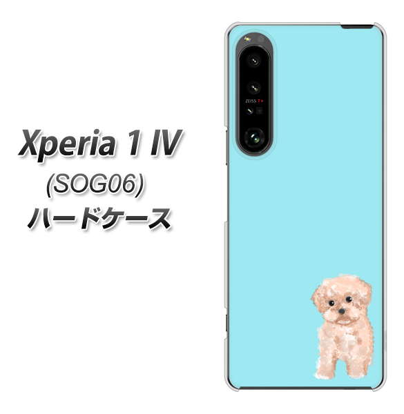 Xperia 1 IV SOG06 au 高画質仕上げ 背面印刷 ハードケース【YJ062 トイプードルアプリコット(ブルー)】