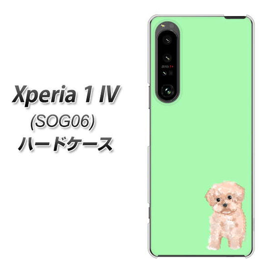 Xperia 1 IV SOG06 au 高画質仕上げ 背面印刷 ハードケース【YJ063 トイプードルアプリコット(グリーン)】