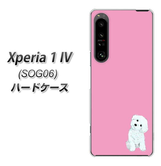 Xperia 1 IV SOG06 au 高画質仕上げ 背面印刷 ハードケース【YJ069 トイプードルホワイト(ピンク)】