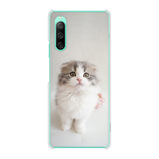 Xperia 10 IV SOG07 au 高画質仕上げ 背面印刷 ハードケース 【VA803 まっていますネコ】