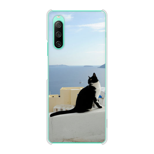 Xperia 10 IV SOG07 au 高画質仕上げ 背面印刷 ハードケース 【VA805 ネコと地中海】