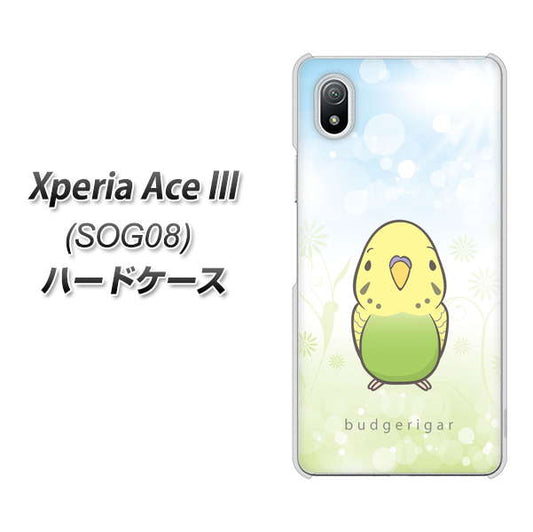 Xperia Ace III SOG08 au 高画質仕上げ 背面印刷 ハードケース【SC838 セキセイインコ グリーン】