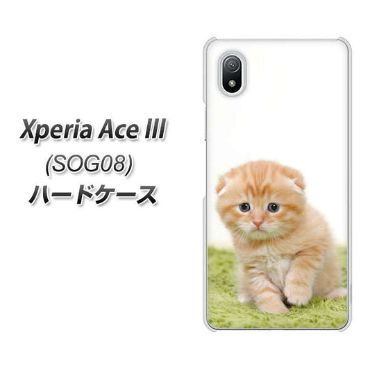 Xperia Ace III SOG08 au 高画質仕上げ 背面印刷 ハードケース【VA802 ネコこっそり】