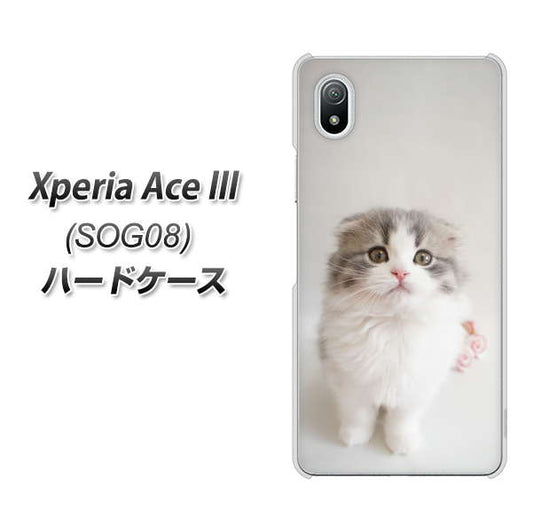 Xperia Ace III SOG08 au 高画質仕上げ 背面印刷 ハードケース【VA803 まっていますネコ】