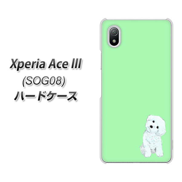 Xperia Ace III SOG08 au 高画質仕上げ 背面印刷 ハードケース【YJ071 トイプードルホワイト(グリーン)】