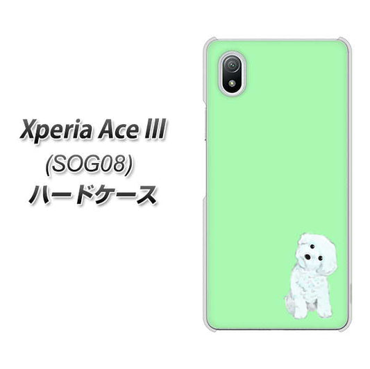 Xperia Ace III SOG08 au 高画質仕上げ 背面印刷 ハードケース【YJ071 トイプードルホワイト(グリーン)】