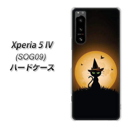 Xperia 5 IV SOG09 au 高画質仕上げ 背面印刷 ハードケース【440 猫の魔法使い】