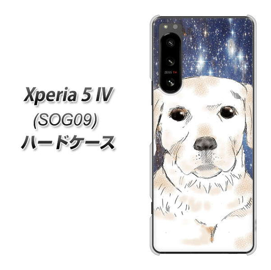 Xperia 5 IV SOG09 au 高画質仕上げ 背面印刷 ハードケース【YD820 ラブラドールレトリバー01】