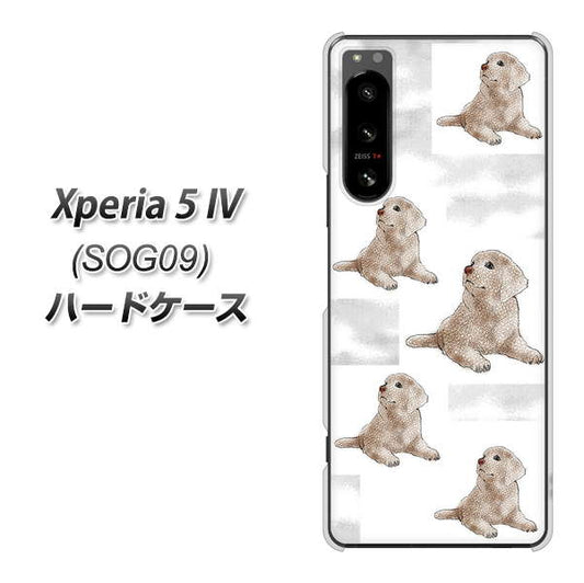 Xperia 5 IV SOG09 au 高画質仕上げ 背面印刷 ハードケース【YD823 ラブラドールレトリバー04】