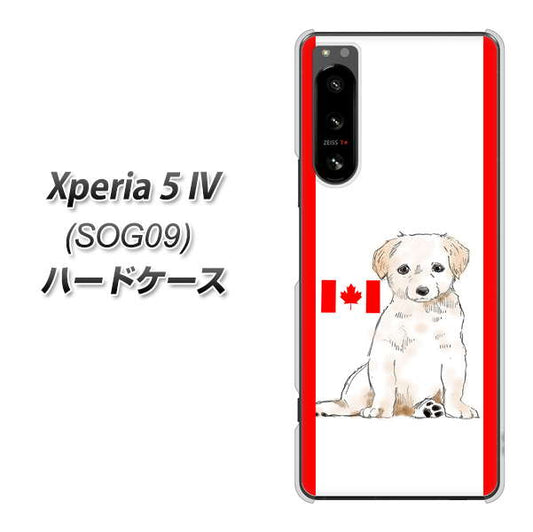 Xperia 5 IV SOG09 au 高画質仕上げ 背面印刷 ハードケース【YD824 ラブラドールレトリバー05】