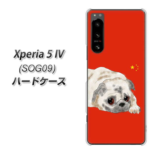 Xperia 5 IV SOG09 au 高画質仕上げ 背面印刷 ハードケース【YD857 パグ03】