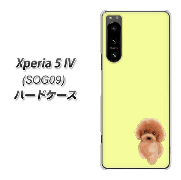 Xperia 5 IV SOG09 au 高画質仕上げ 背面印刷 ハードケース【YJ051 トイプードルレッド(イエロー)】