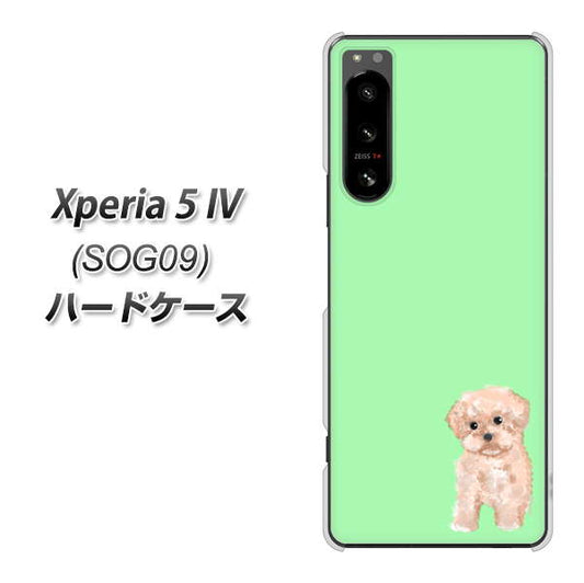 Xperia 5 IV SOG09 au 高画質仕上げ 背面印刷 ハードケース【YJ063 トイプードルアプリコット(グリーン)】