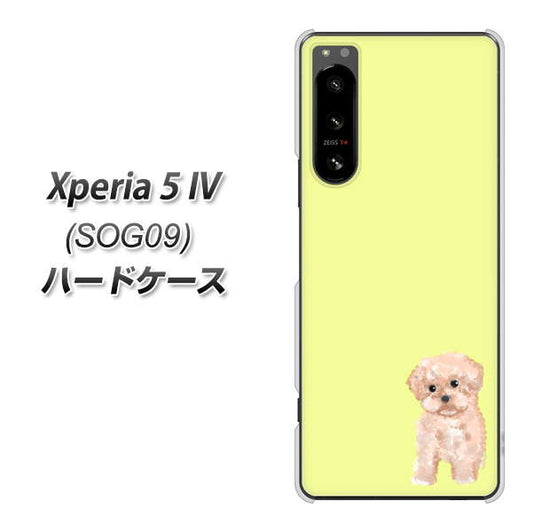 Xperia 5 IV SOG09 au 高画質仕上げ 背面印刷 ハードケース【YJ064 トイプードルアプリコット(イエロー)】