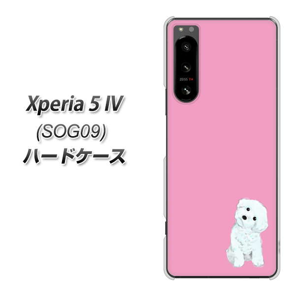 Xperia 5 IV SOG09 au 高画質仕上げ 背面印刷 ハードケース【YJ069 トイプードルホワイト(ピンク)】