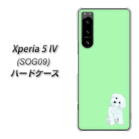 Xperia 5 IV SOG09 au 高画質仕上げ 背面印刷 ハードケース【YJ071 トイプードルホワイト(グリーン)】
