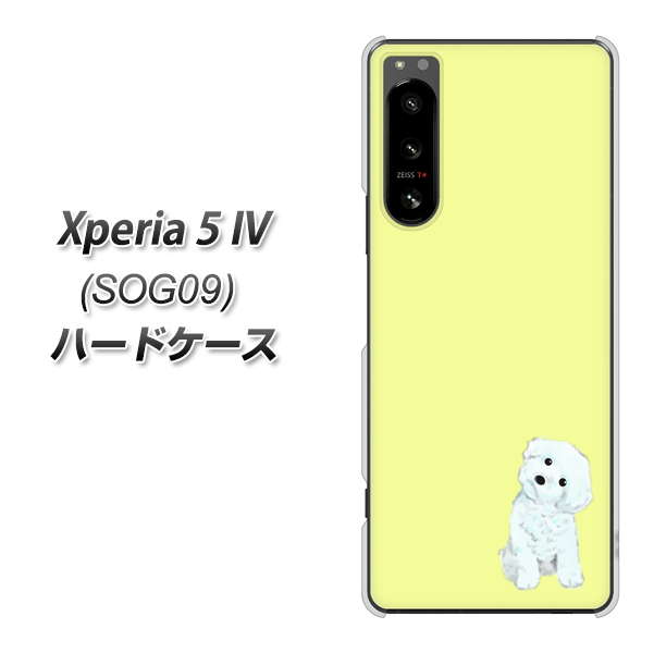 Xperia 5 IV SOG09 au 高画質仕上げ 背面印刷 ハードケース【YJ072 トイプードルホワイト(イエロー)】