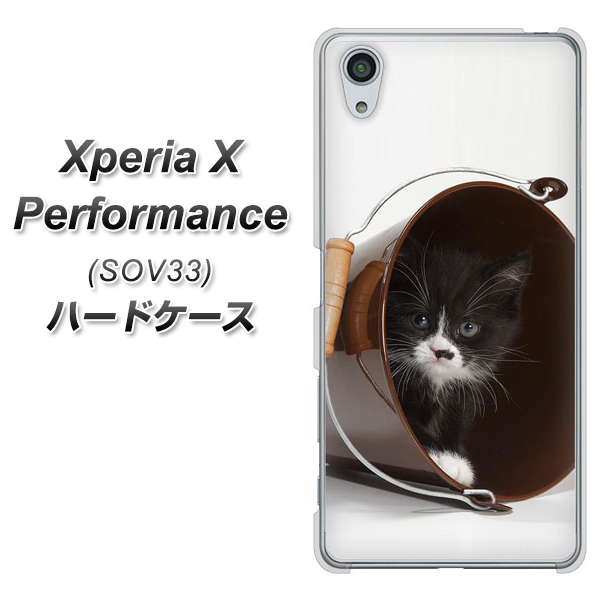 au エクスペリアX パフォーマンス SOV33 高画質仕上げ 背面印刷 ハードケース【VA800 ネコとバケツ】