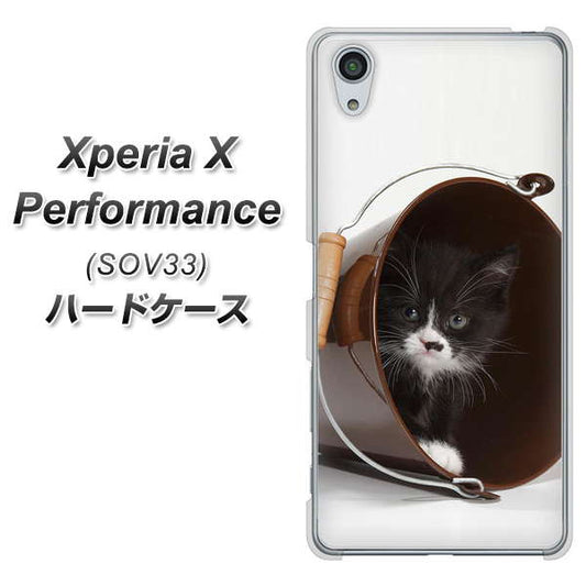 au エクスペリアX パフォーマンス SOV33 高画質仕上げ 背面印刷 ハードケース【VA800 ネコとバケツ】