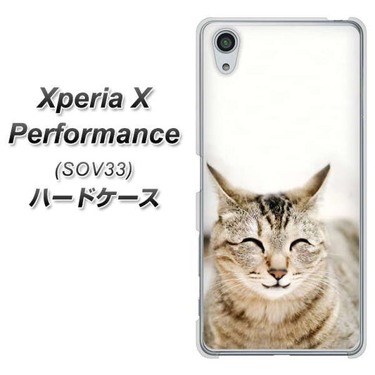 au エクスペリアX パフォーマンス SOV33 高画質仕上げ 背面印刷 ハードケース【VA801 笑福ねこ】