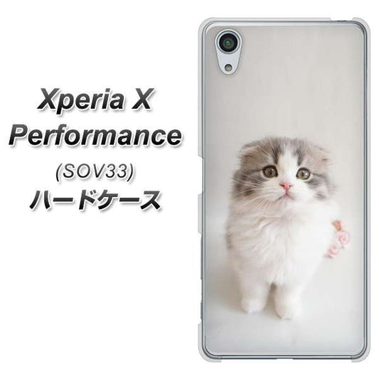 au エクスペリアX パフォーマンス SOV33 高画質仕上げ 背面印刷 ハードケース【VA803 まっていますネコ】