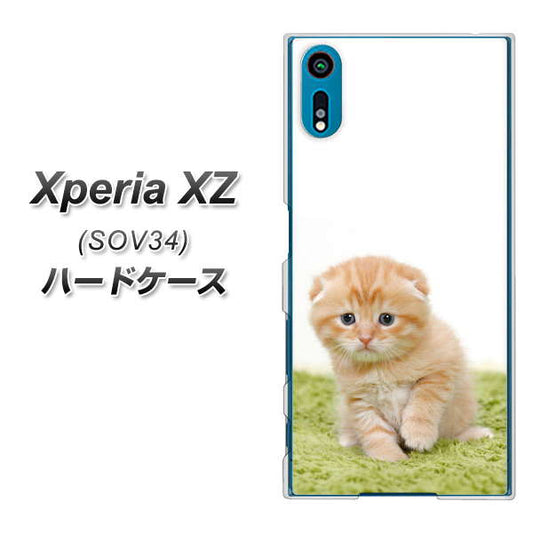 au エクスペリアXZ SOV34 高画質仕上げ 背面印刷 ハードケース【VA802 ネコこっそり】