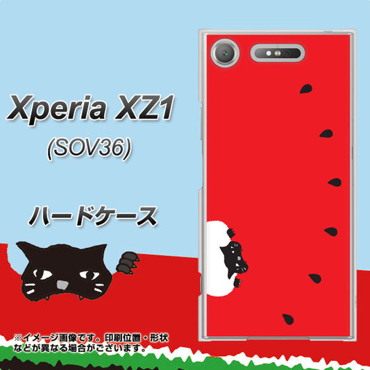 au エクスペリア XZ1 SOV36 高画質仕上げ 背面印刷 ハードケース【IA812 すいかをかじるネコ】