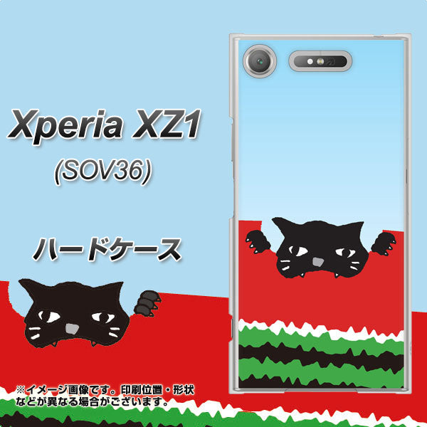 au エクスペリア XZ1 SOV36 高画質仕上げ 背面印刷 ハードケース【IA815 すいかをかじるネコ(大)】