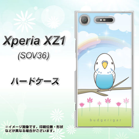 au エクスペリア XZ1 SOV36 高画質仕上げ 背面印刷 ハードケース【SC839 セキセイインコ ブルー】